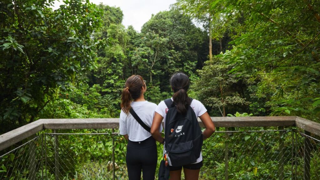 For hiking trails in Singapore, you should try the Dairy Farm Nature Park trail