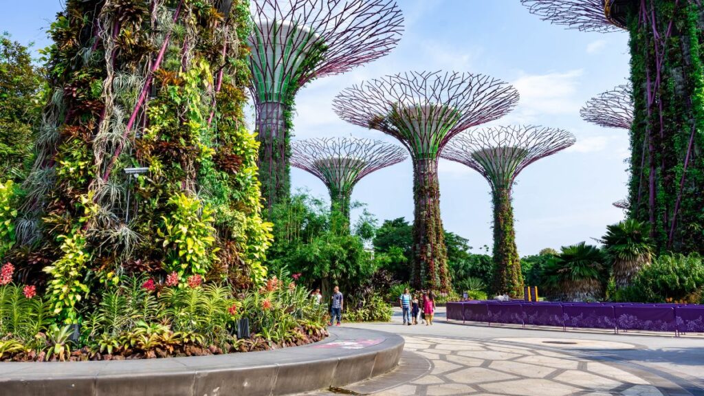 Gardens by the Bay is world-renowned and a must-see when you travel to Singapore