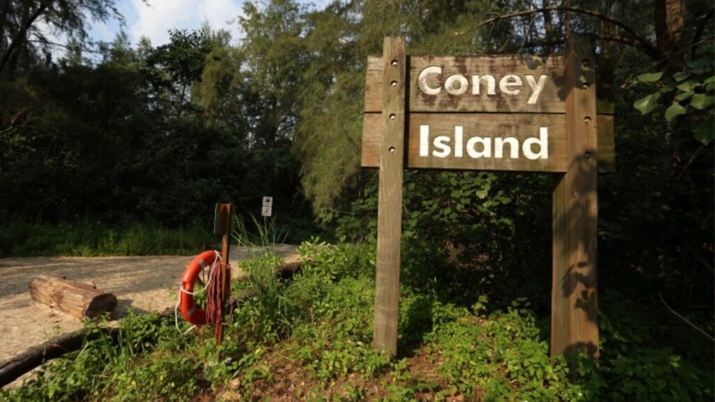 If you're looking for hiking trails in Singapore, you should consider Coney Island
