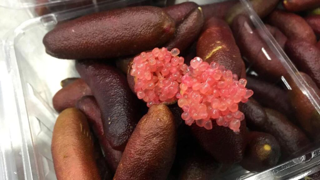 The red finger lime, which is the main ingredient for the new gin by Gingle Bells