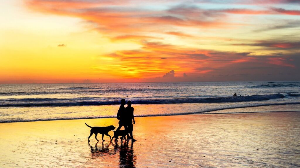 Why not visit Bali to see the sunset along the beach