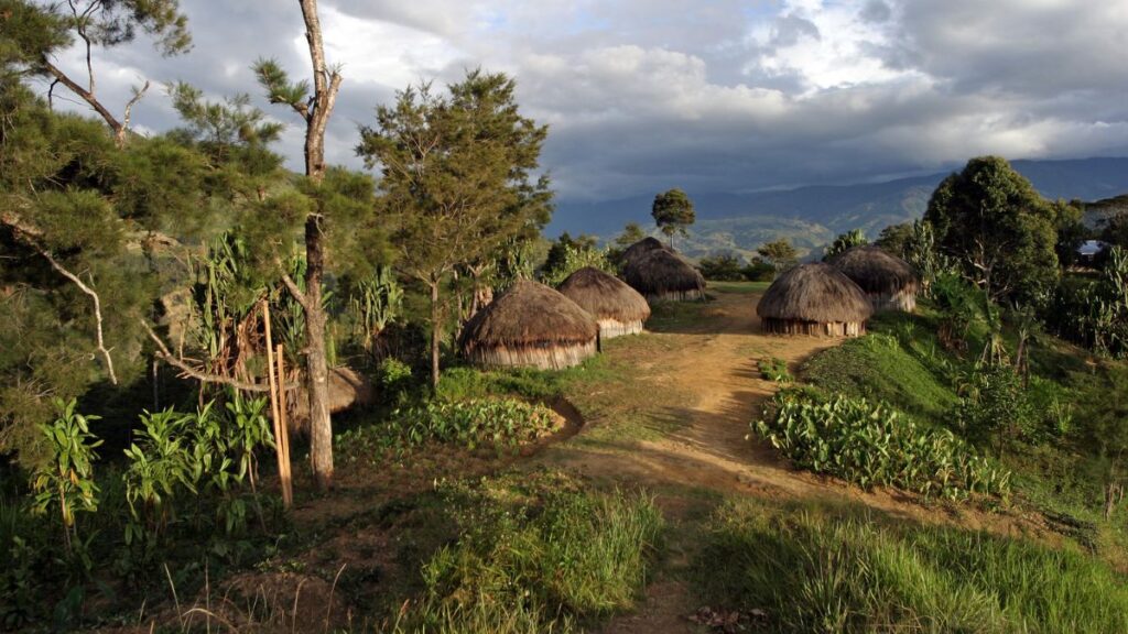 Do not expect a lot of buildings when you visit Papua New Guinea