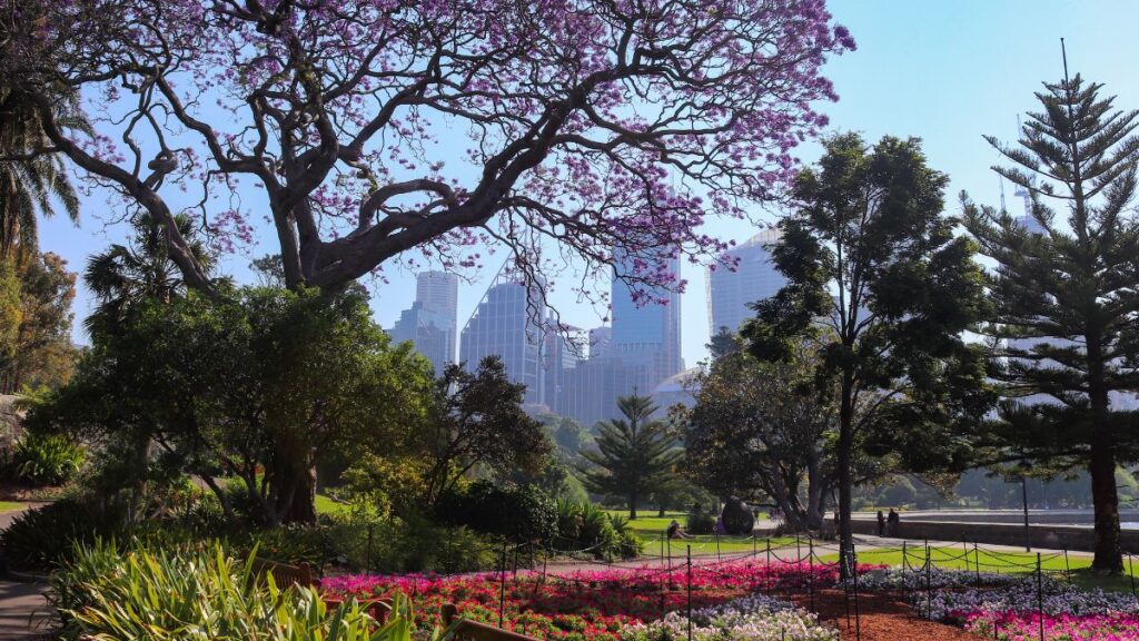 Royal Botanic Garden is a great stop when you visit Sydney