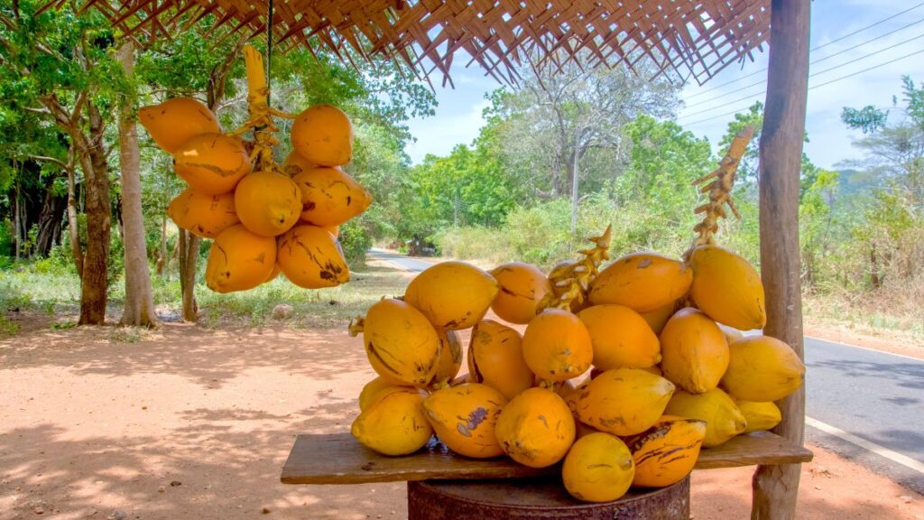 Any visit to Sri Lanka should include the local coconuts or thambilli
