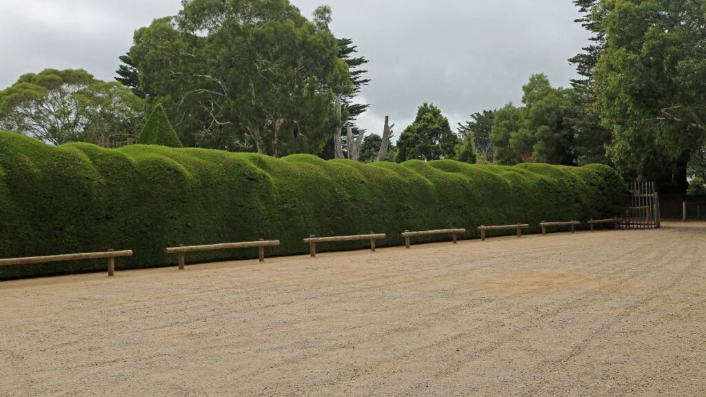 You can lose your self in the Ashcombe maze, which is one of the most fun Australian hidden gems out there