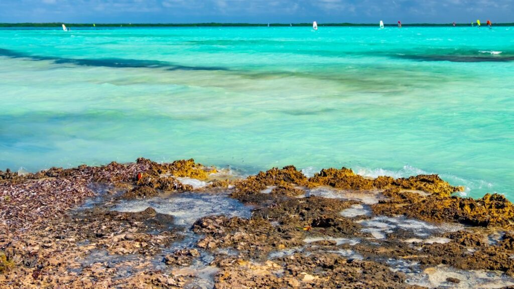 Lac Bay is a calmer area for water activites on Bonaire Island