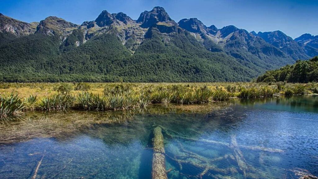 Incredible South Island landscape, view of a transparent lake with green mountains in the background