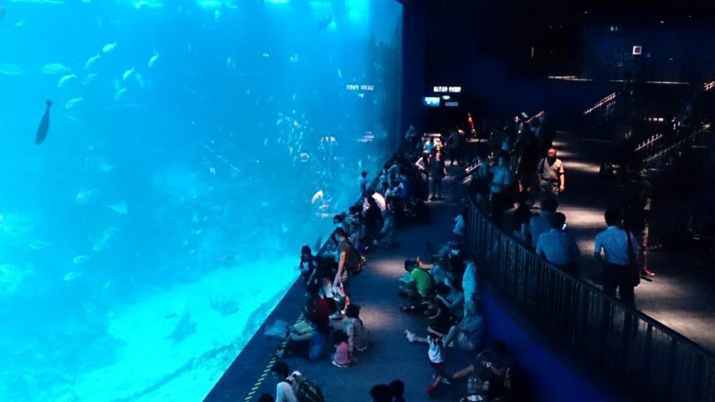 Best aquarium in the world, Marine Life Park, Singapore