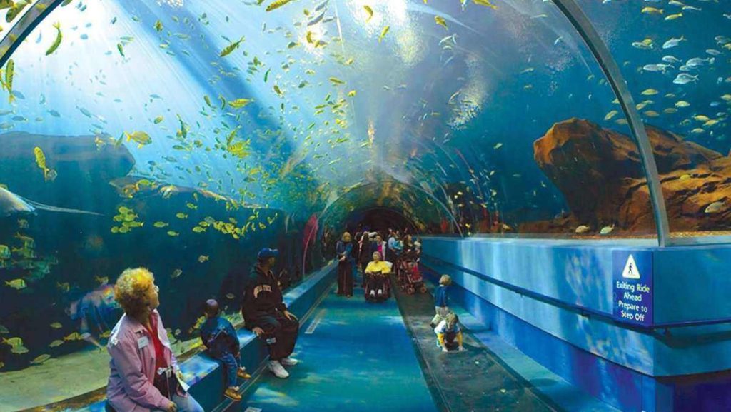 Best aquarium in the world, Shedd Aquarium, USA