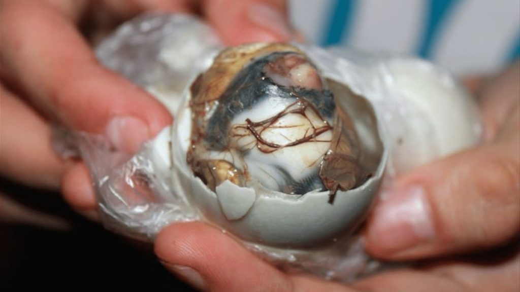 Bizarre foods, balut, Philippines