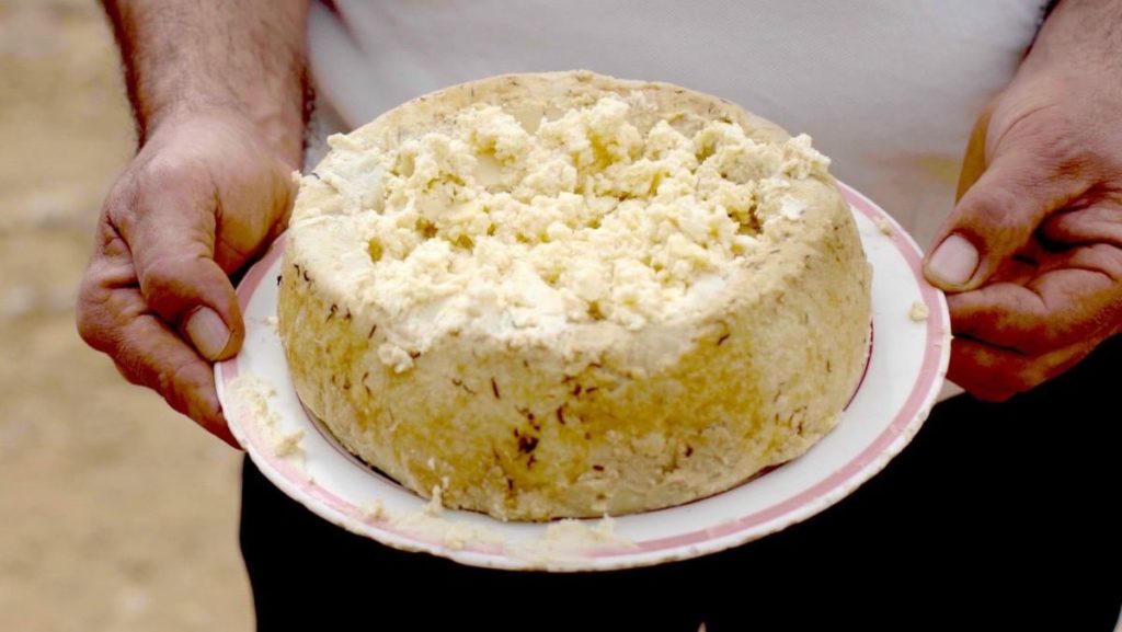 Bizarre foods, casu marzu, Italy