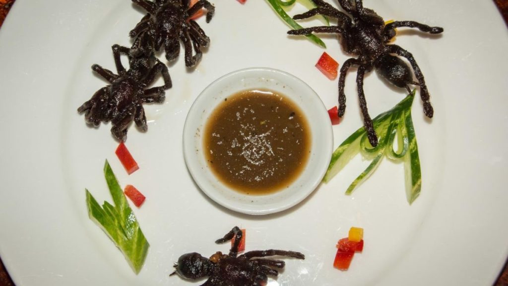 Gross food, crispy tarantulas, Cambodia
