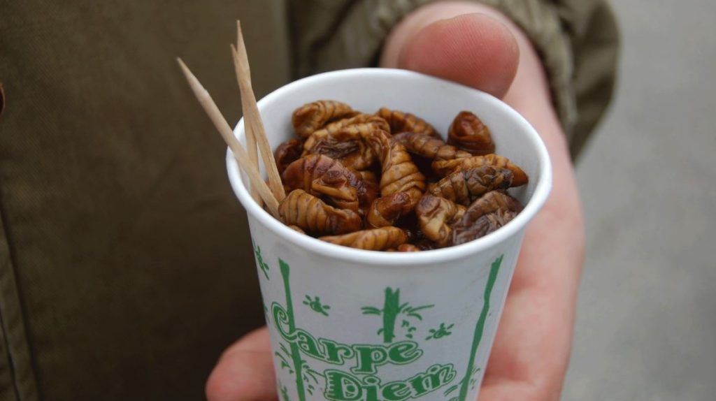 Gross food, silkworm larvae, South Korea