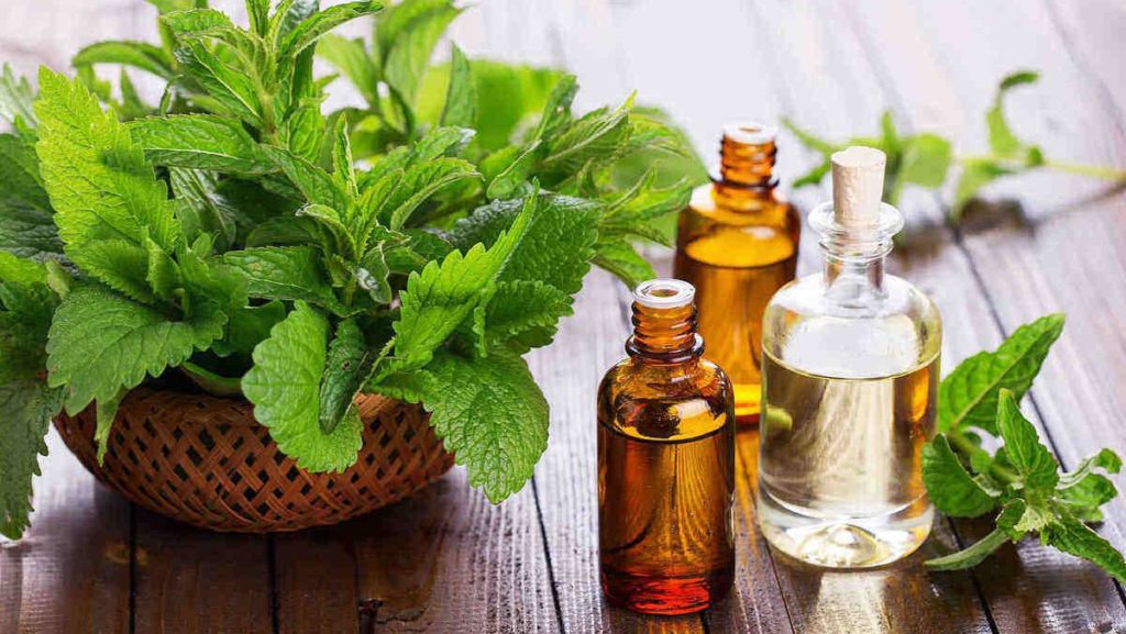 Homemade mosquito repellent, peppermint oil