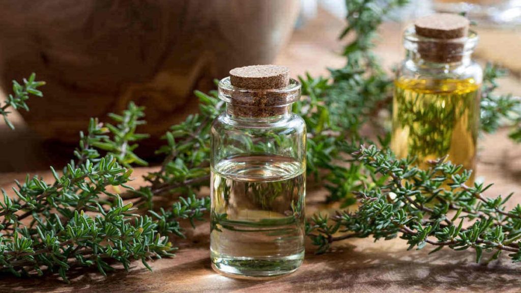 Homemade mosquito repellent, thyme