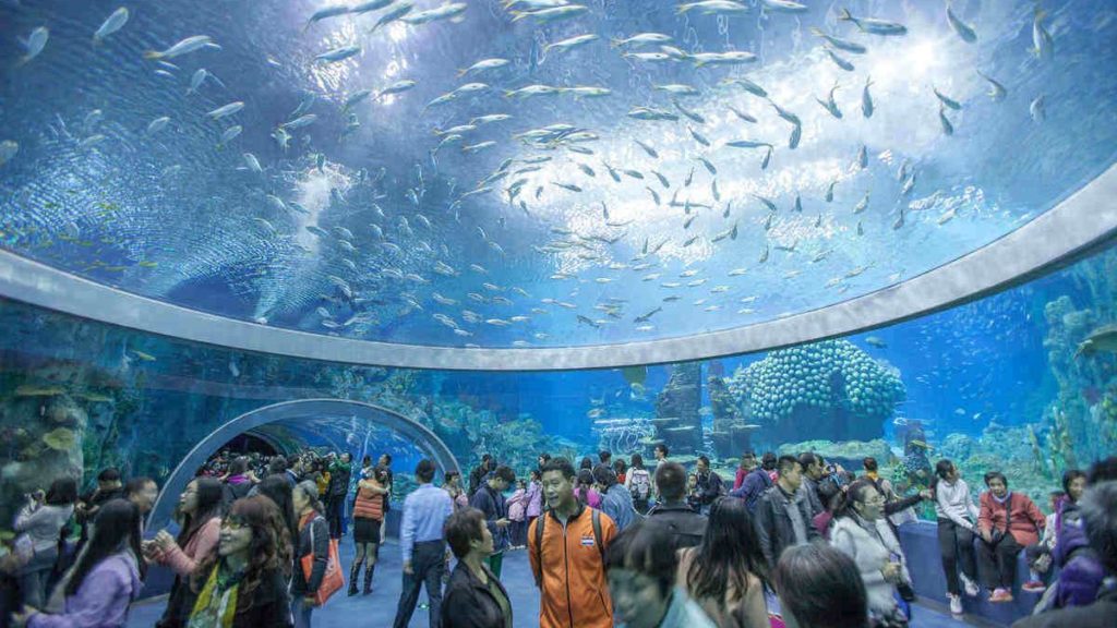 Largest aquarium in the world, Chimelong Ocean Kingdom, China