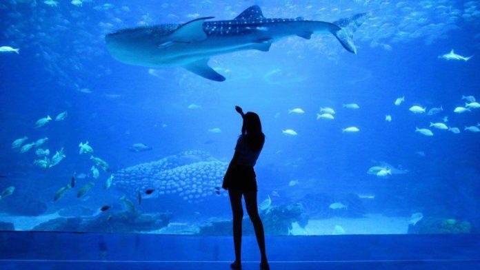 Largest aquariums in the world