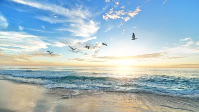 What to bring to the beach?