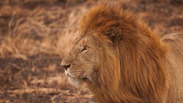 Best zoo in the world