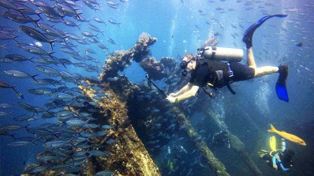 Scuba diver taking pictures of a school of fish next to a shipwreck