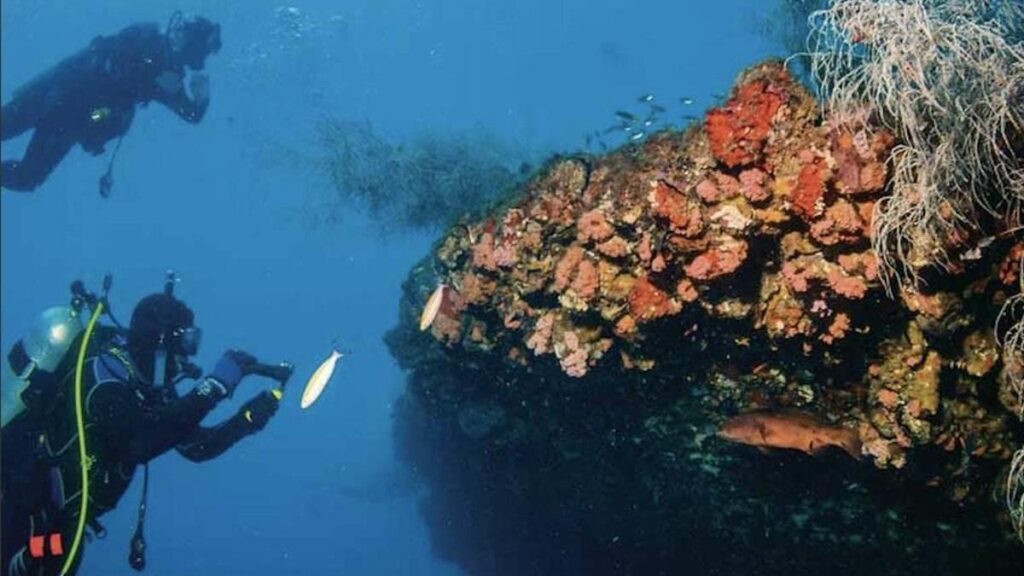 2 scuba divers exploring the shipwreck Yongala
