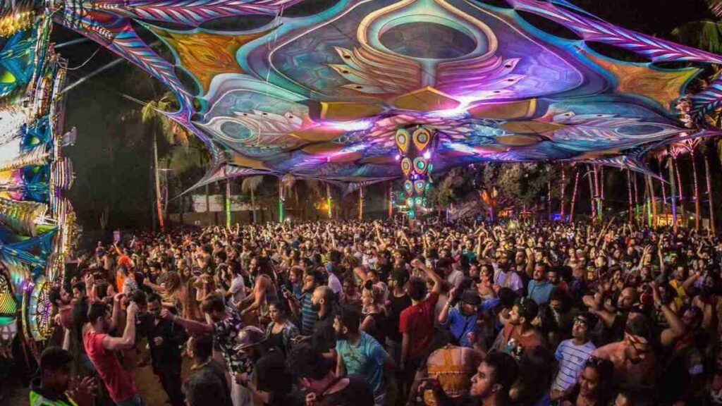 Partygoers celebrating New Year’s Eve in Goa