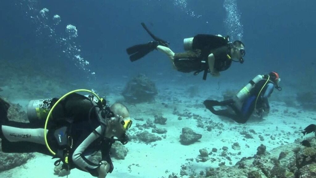 3 divers exploring the ocean floor