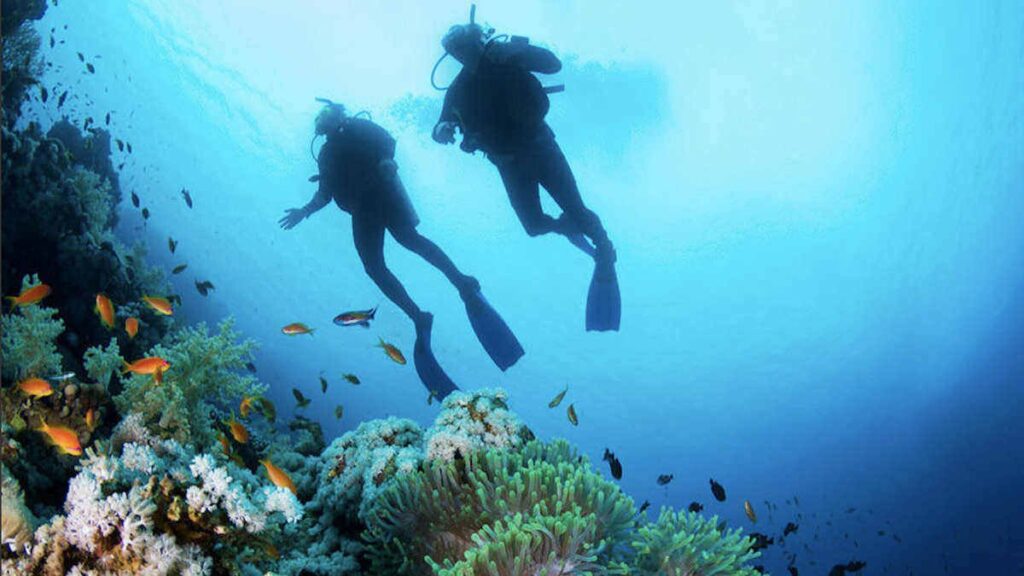 Bottom view of two scuba divers exploring colourful corals