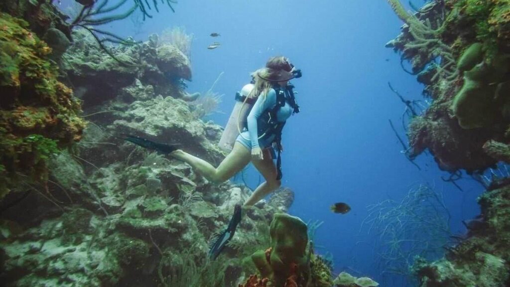 Woman diving between two walls of corals