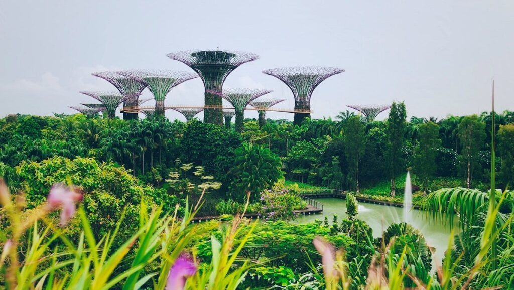 Visit Gardens By The Bay while waiting for post-covid-19 travel