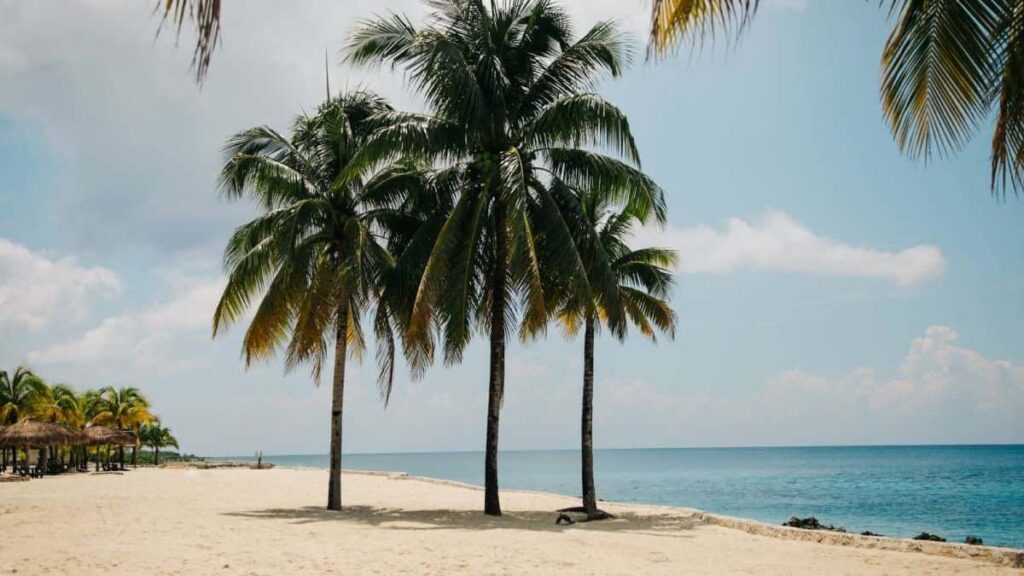 Beautiful beaches, Negombo Beach, Sri Lanka