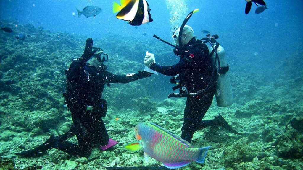 Things to do in Thailand, scuba diving