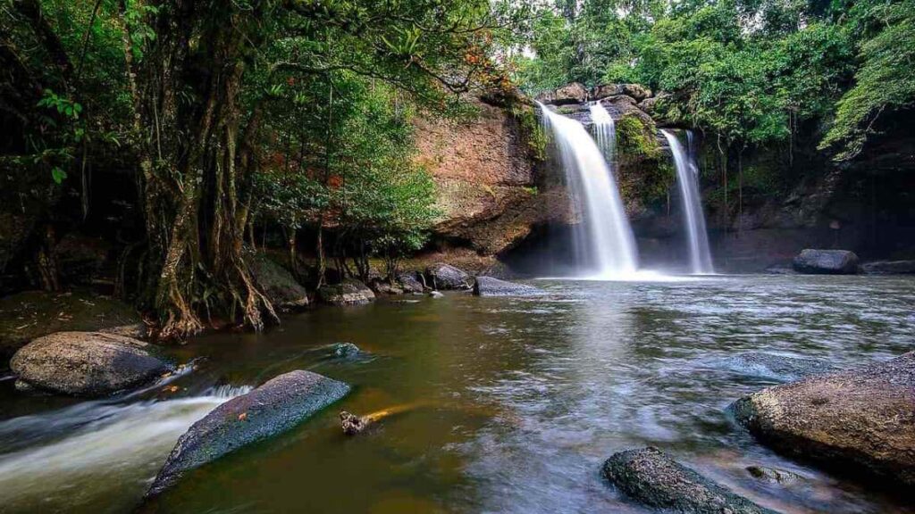 What to do in Thailand, visiting National Parks