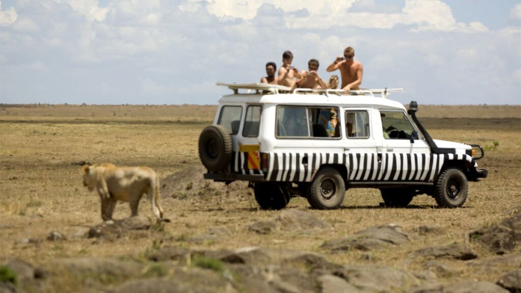 Get up close to the wildlife in the Masai Mara, Kenya