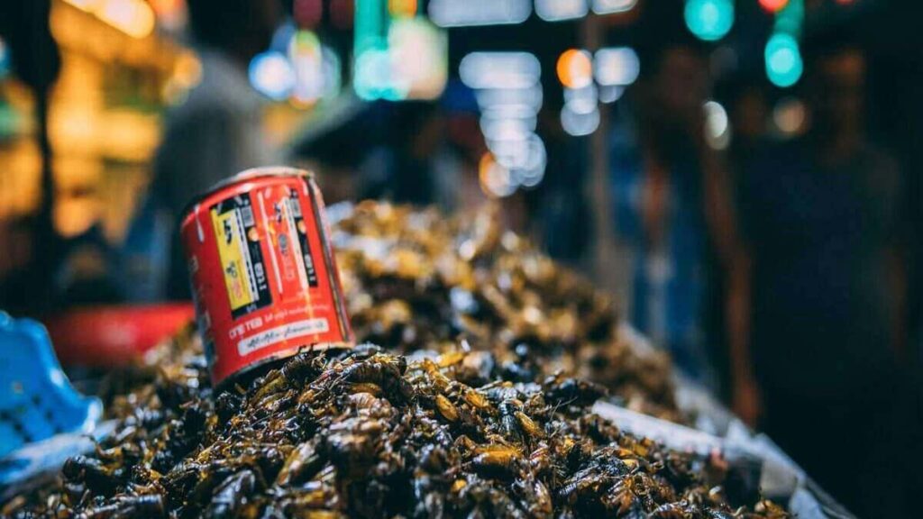 Unique things to do in Thailand, fried insects street food