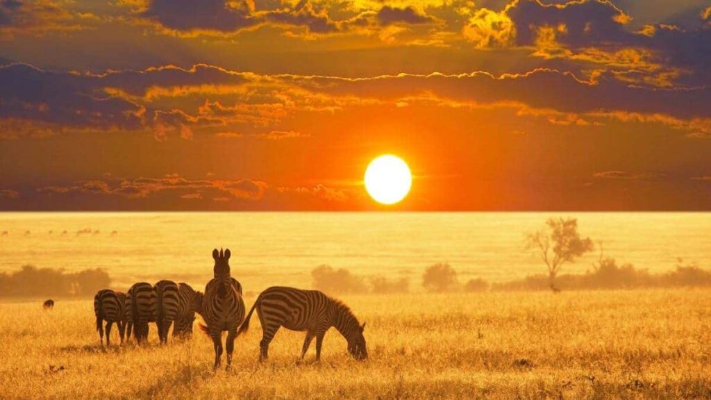 Best places to visit in July, Namibia, Africa