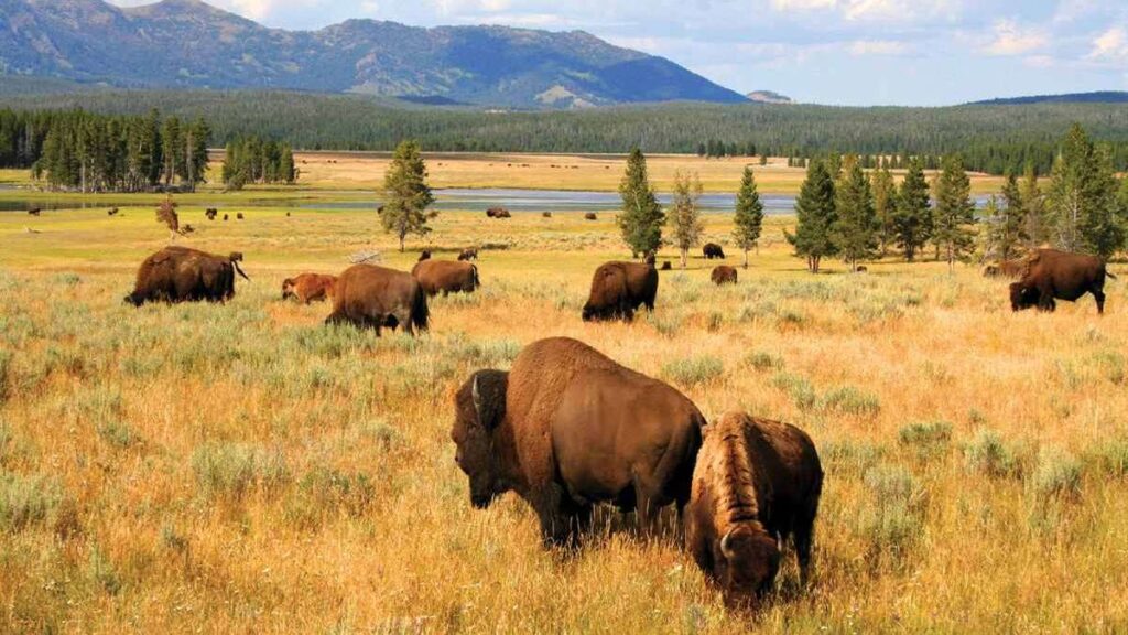 Best places to visit in July, Wyoming, USA