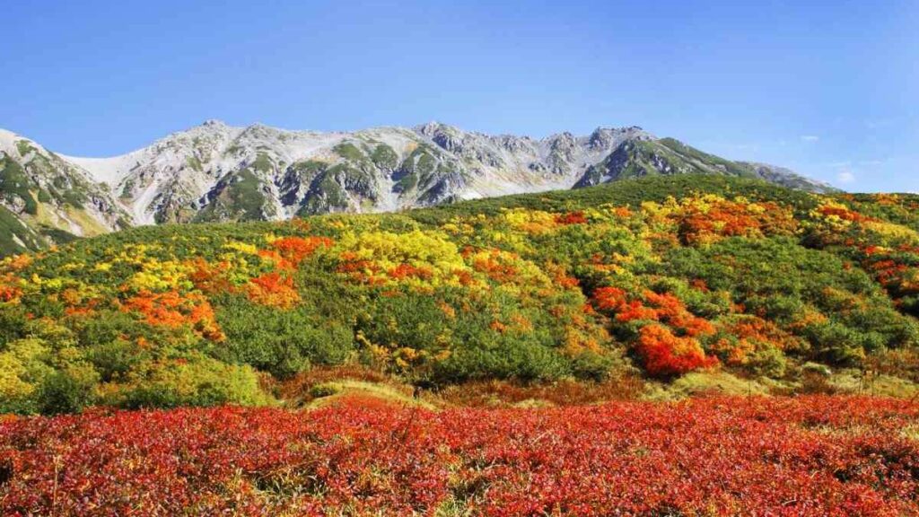 Best time of year to visit Japan, Autumn