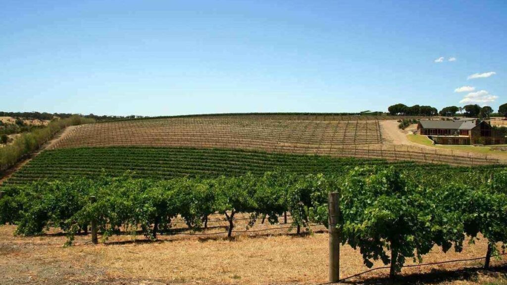 Where is hot in October, Barossa Valley, Australia