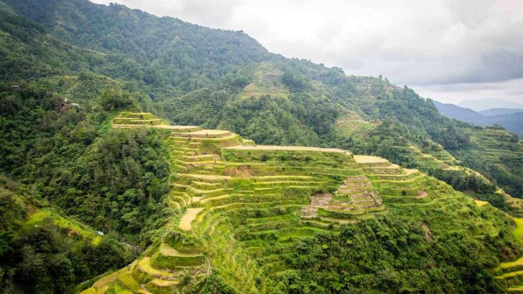 Beautiful places in the Philippines, Banaue Rice Terraces
