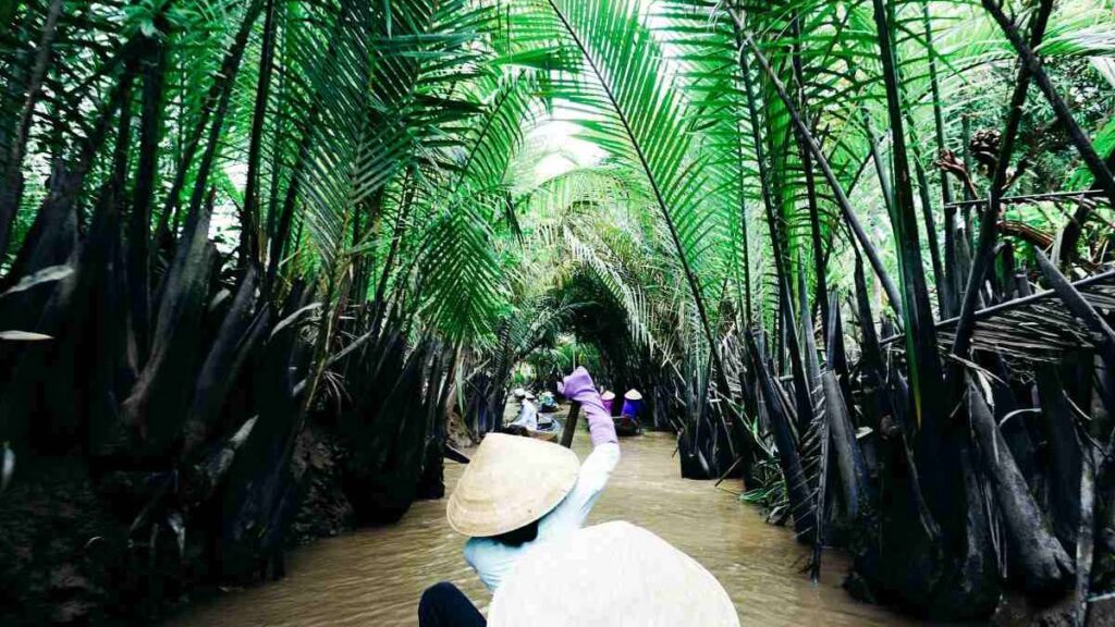 Best places to visit in Vietnam, Mekong Delta