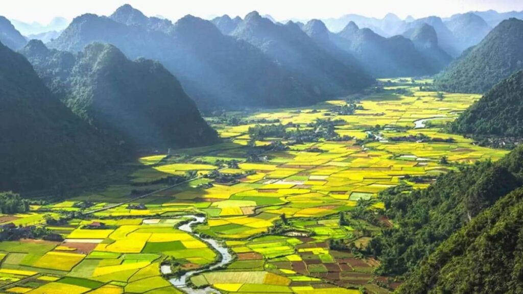 Best time of year to visit Vietnam, Paddy fields in April
