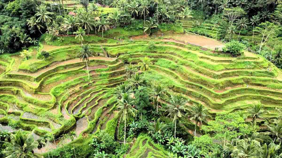 Indonesia trip, Ubud, Bali