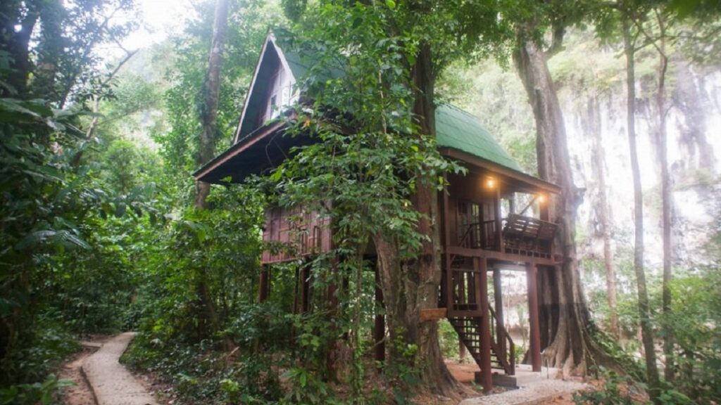 Stay amongst the trees at Khao Sok Tree House Resort