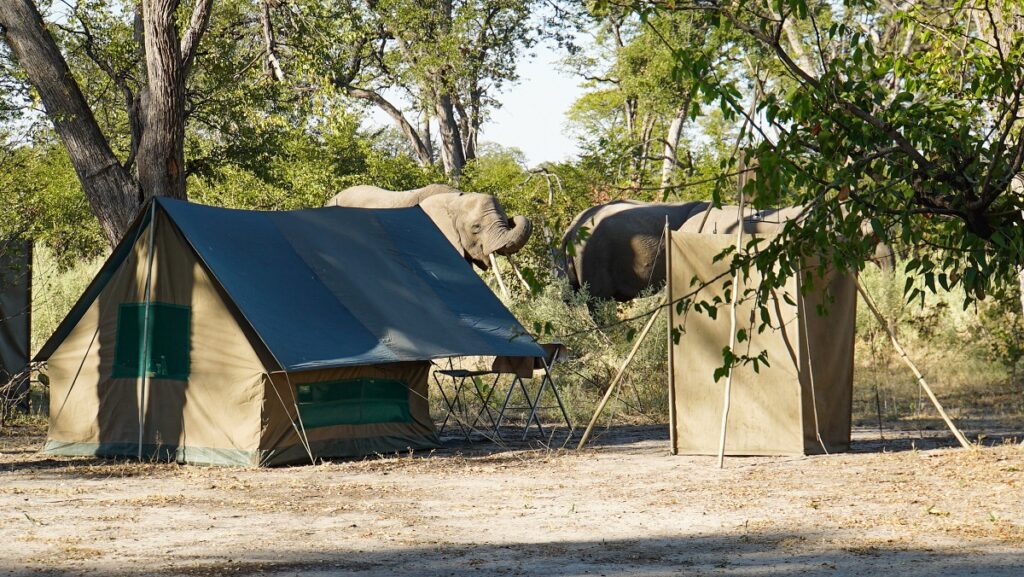 Accommodation at the safari in Botswana