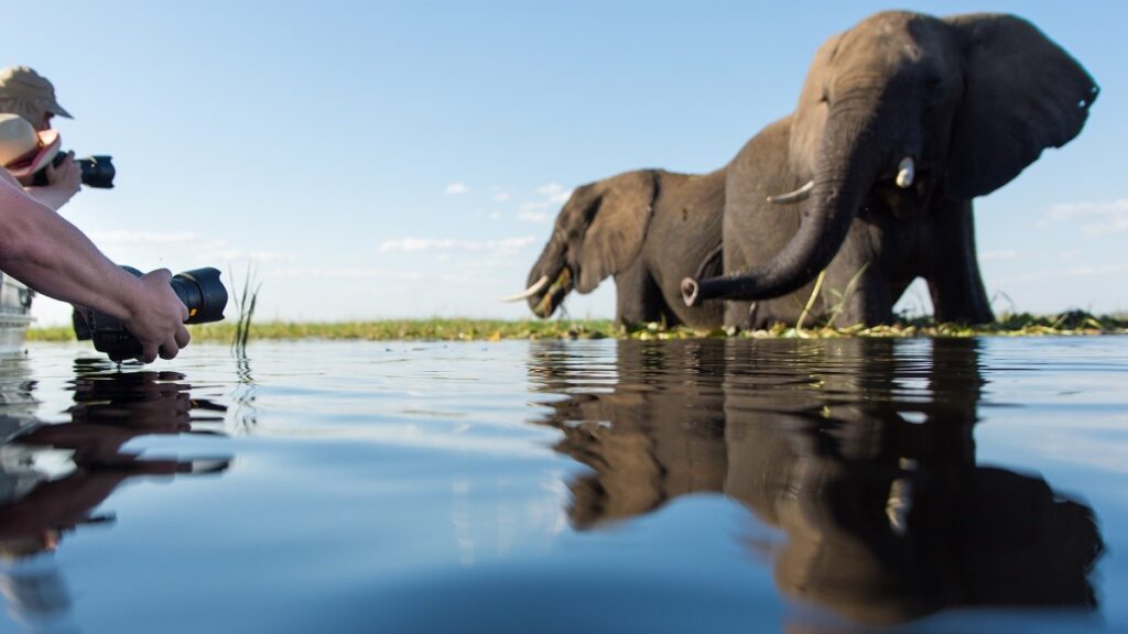 Behind the scenes at a Safari in Botswana