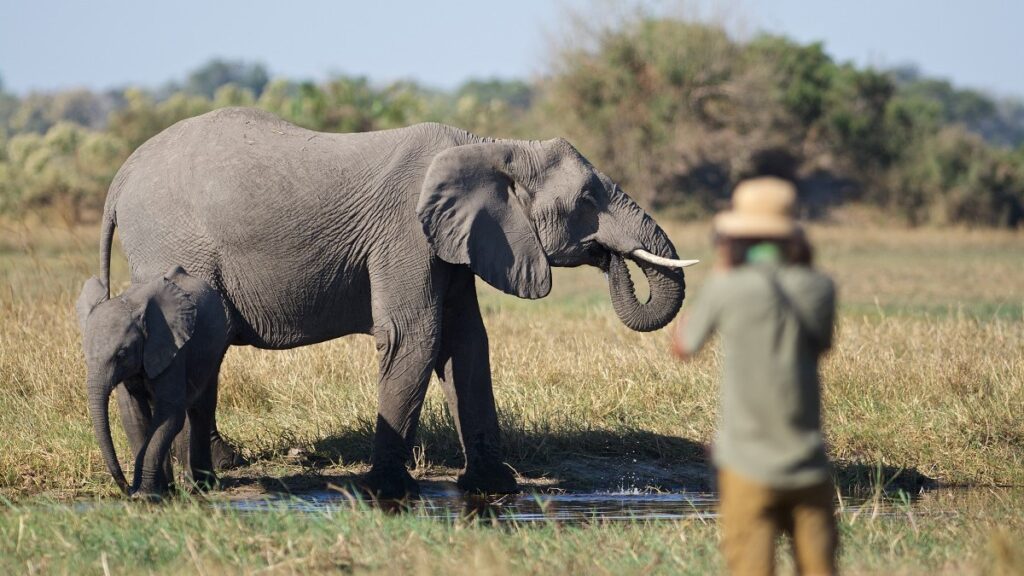 A photographer in the Okavango Delta in Botswana