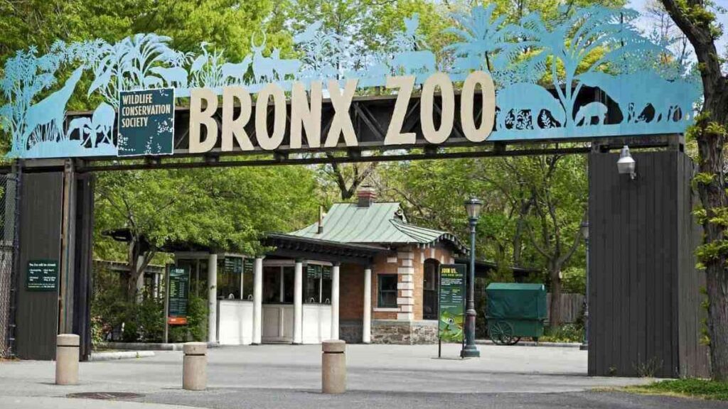 Best zoo in the world, Bronx Zoo, USA