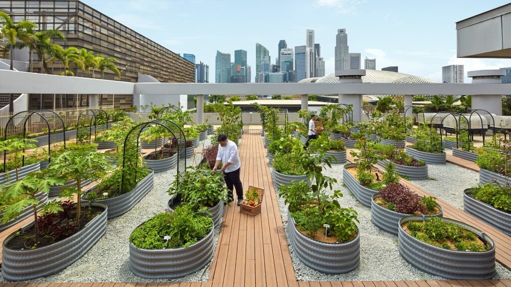 PARKROYAL COLLECTION Marina Bay Urban Farm - sustainability