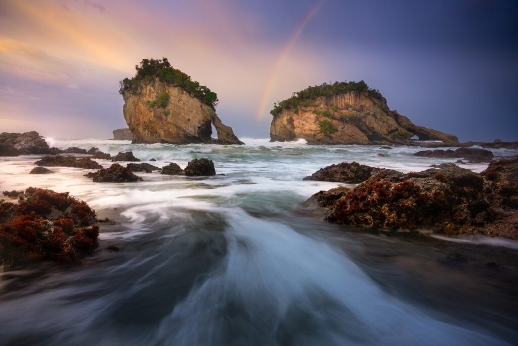 Fiordland Coast by William Patino